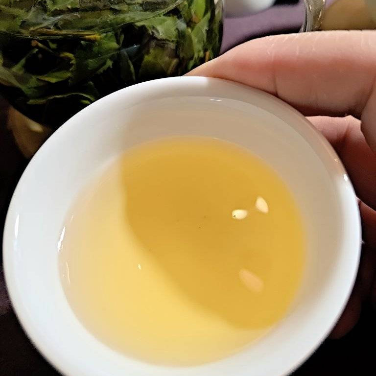 梨山茶區雲霧繚繚 高山冷香烏龍茶茶園