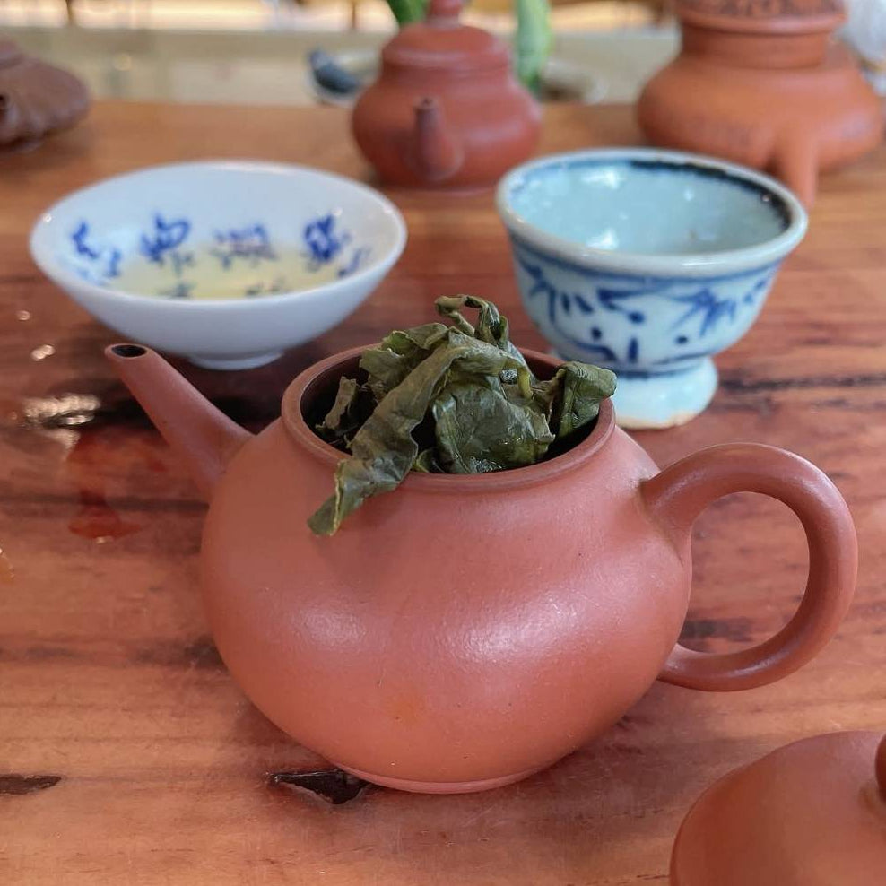 杉林溪春茶茶湯 淡金黃清澈