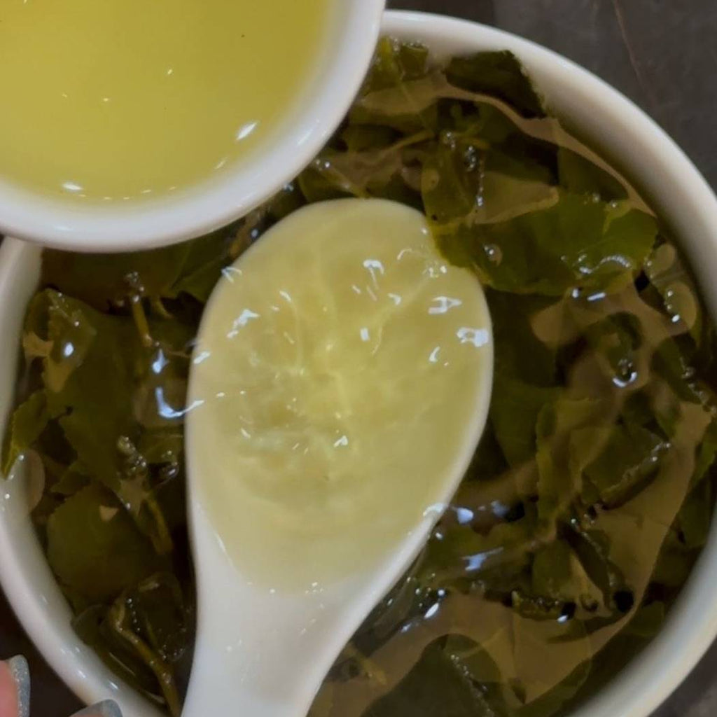 阿里山高山茶茶湯 金黃清透