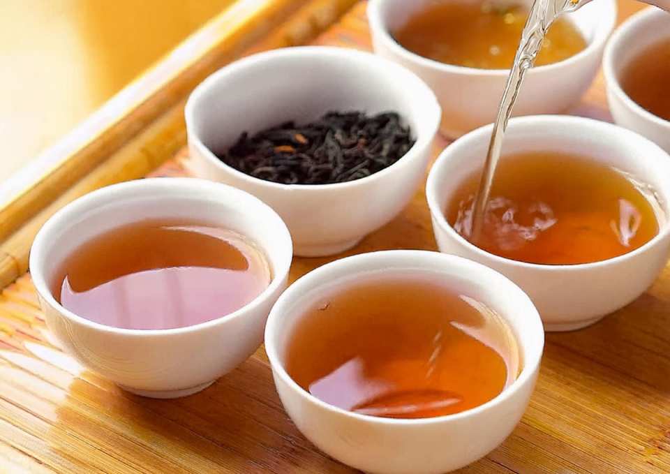 台北永康街｜台灣茶品茶．泡茶體驗｜中英日服務