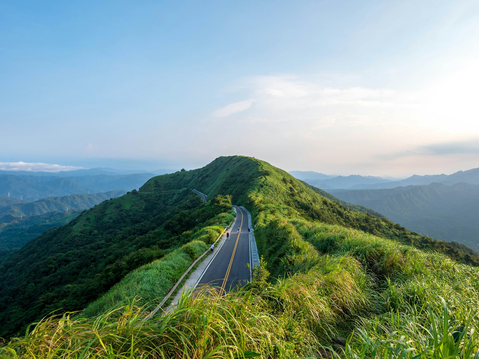 梨山高山茶園